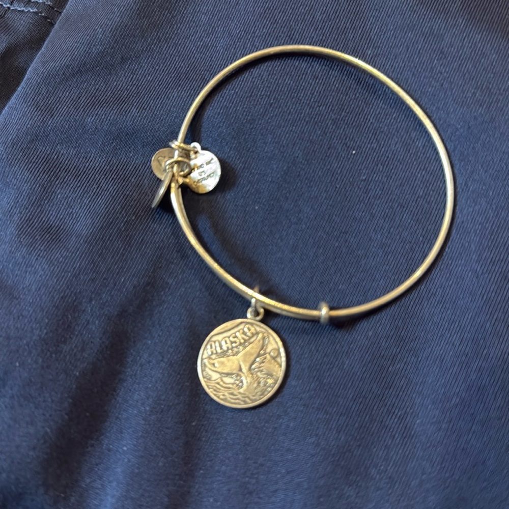 Alex and Ani Alaska Bracelet